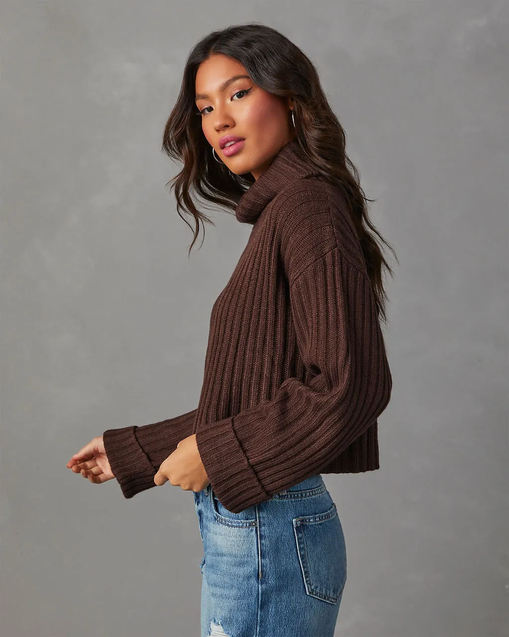 Arielle Ribbed Knit Turtleneck Crop Sweater