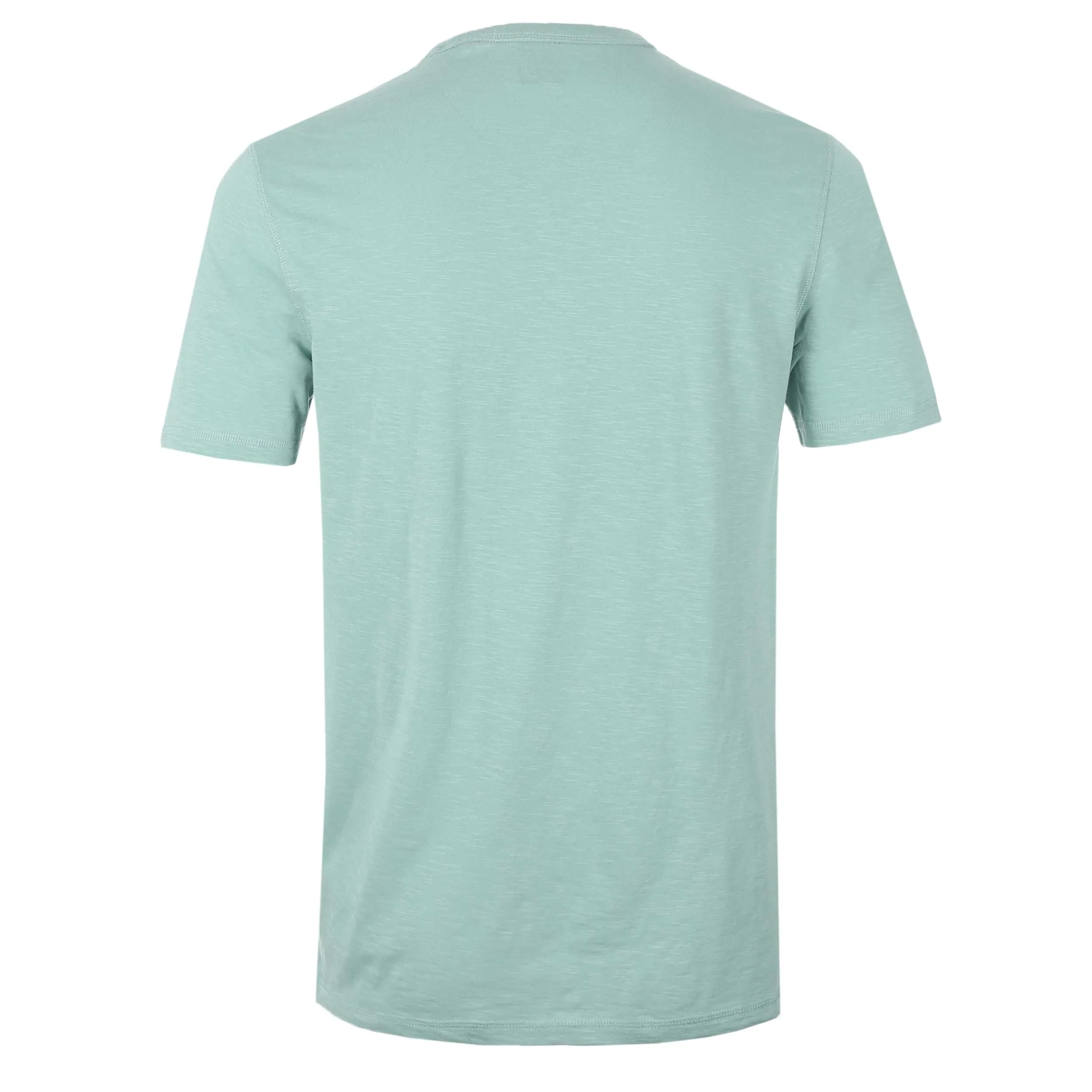 BOSS Tegood T-Shirt in Pastel Green