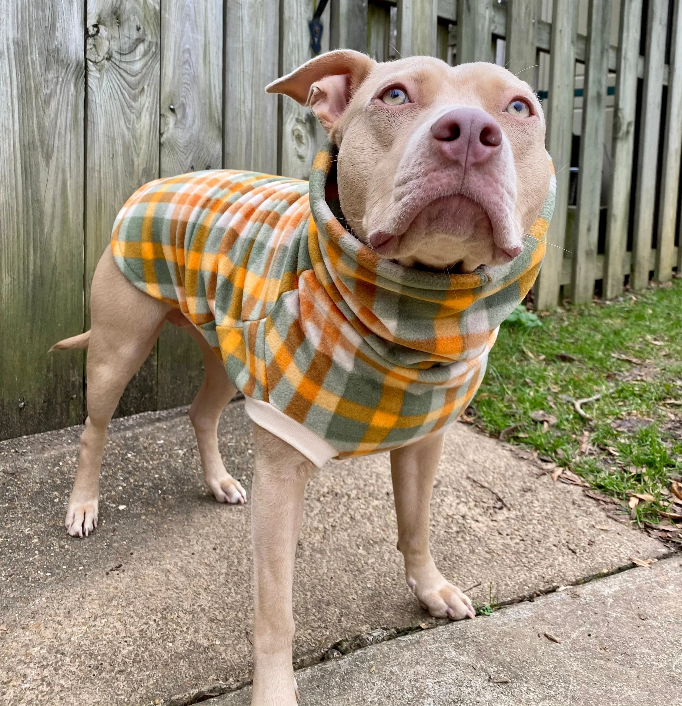 Fall Plaid Dog Sweater