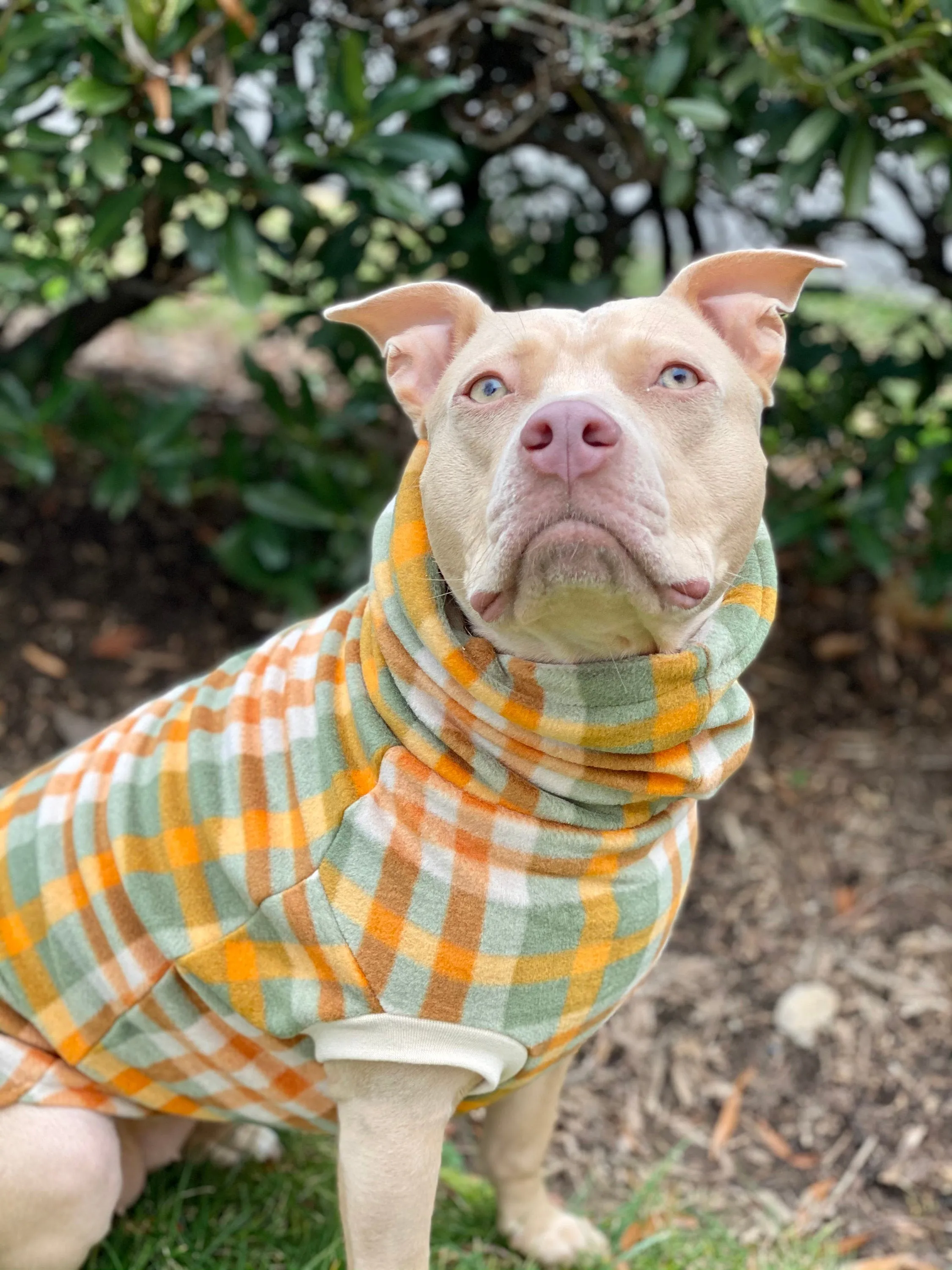 Fall Plaid Dog Sweater